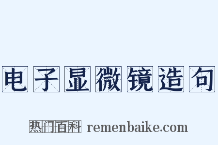 电子显微镜造句是什么意思的图片